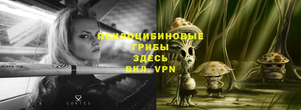 Альфа ПВП Пересвет