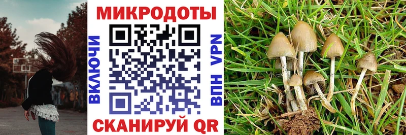 даркнет сайт  Руза  Галлюциногенные грибы Magic Shrooms 